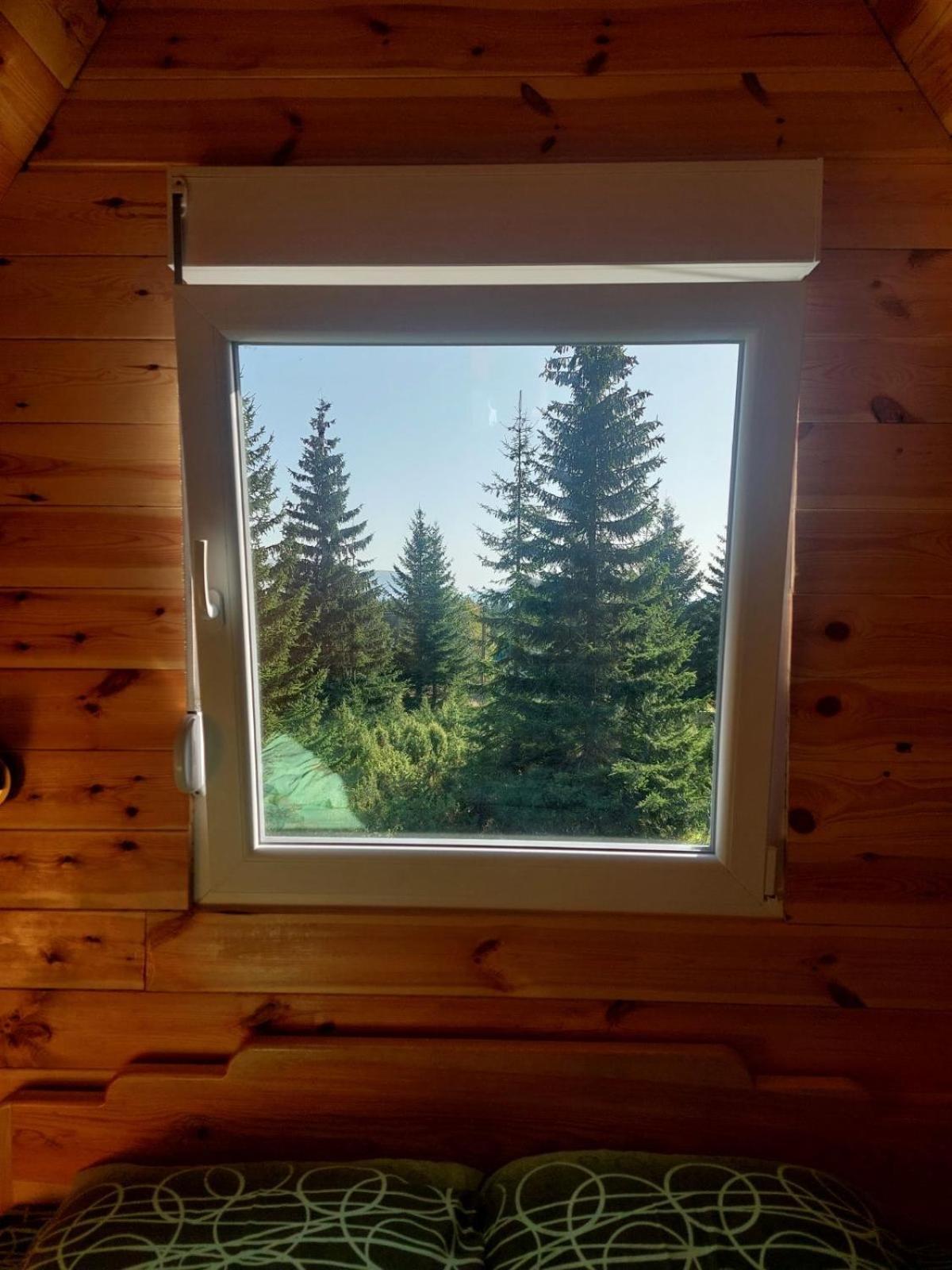 Villa Pejovic Žabljak Esterno foto