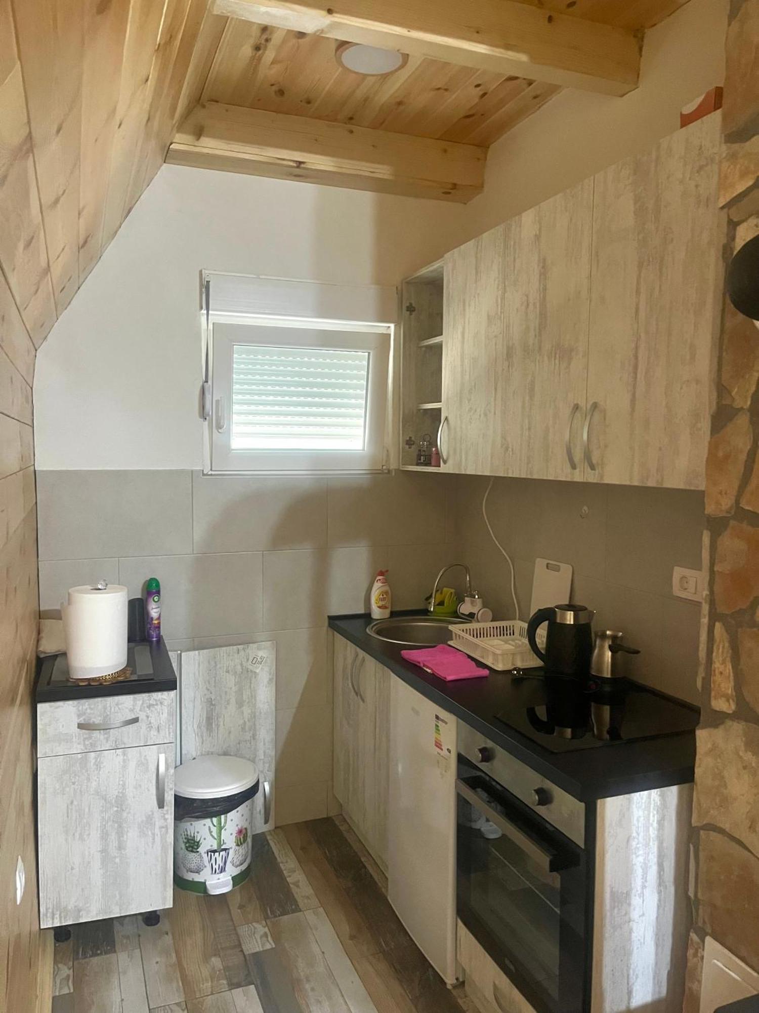 Villa Pejovic Žabljak Esterno foto